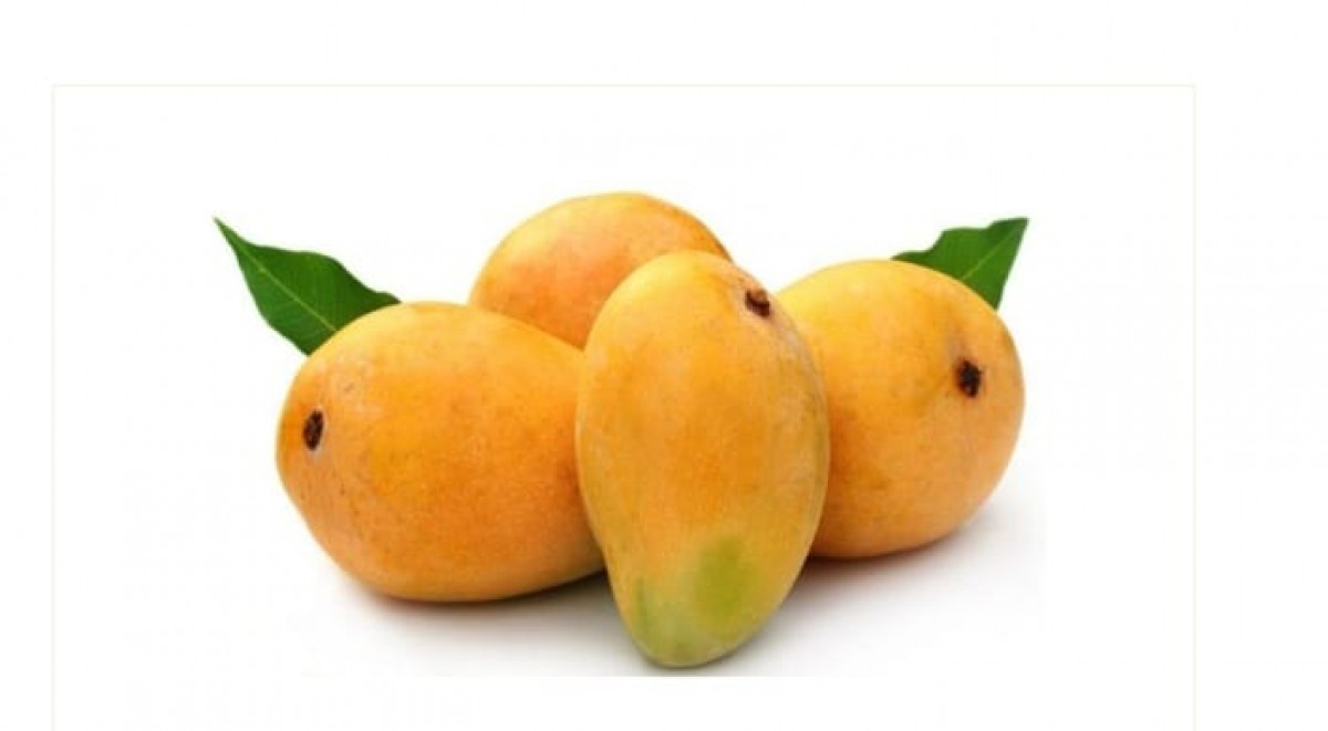 All varieties of mangoes from Pakistan
